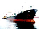well maintained shallow draft / ice classed / container fitted / dry-cargo coaster