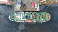 TUG from bankruptcy auction and immediate delivery !