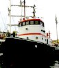 Coastal sea tugboat / for sale