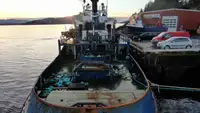 TUG from bankruptcy auction and immediate delivery !