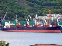 CM0866 Geared Handysize bulk carrier 46800 DWT/1998 JPN BLT for sale