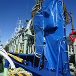 49.8m Fishing Vessel