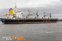 MV Cielo di Capalbio 36.600 dwt - blt 2012 - HMD, S'Korea