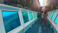 GLASS BOTTOM BOAT / DAY CRUISER