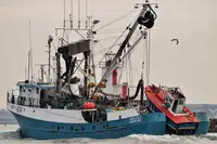 101 FT HERRING PURSE SEINER